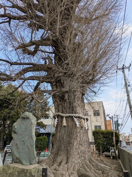 Picsart_26-02-24_16-53-51-590