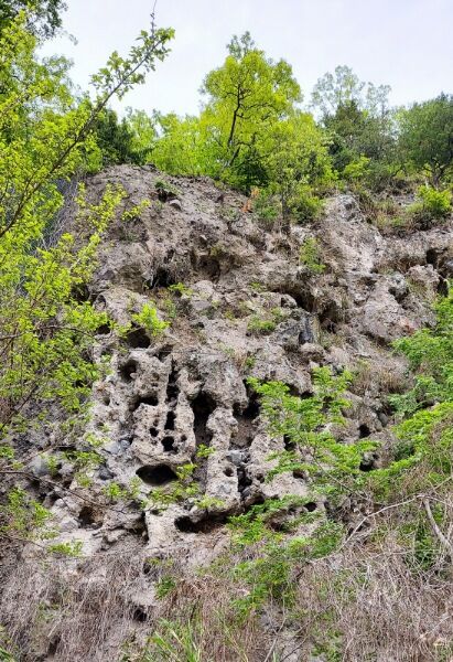 Picsart_22-04-27_22-08-19-279