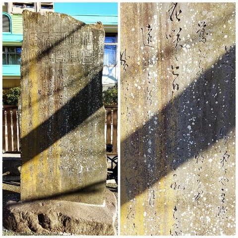 Picsart_24-01-30_19-53-46-259