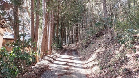 Picsart_24-04-09_09-14-10-928