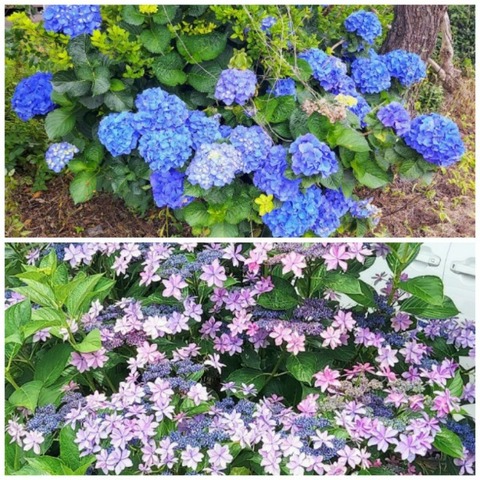 Picsart_23-06-28_23-14-45-057