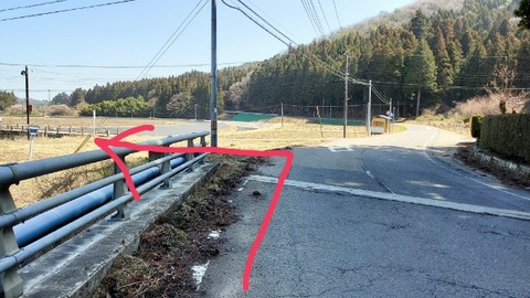 Picsart_24-04-03_16-20-59-567