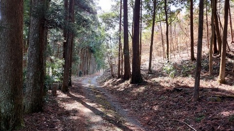 Picsart_24-04-09_09-16-51-677