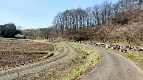 Picsart_24-04-09_09-17-43-297