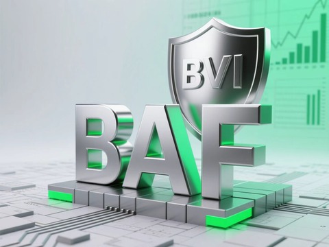 BAF Corporation20250806