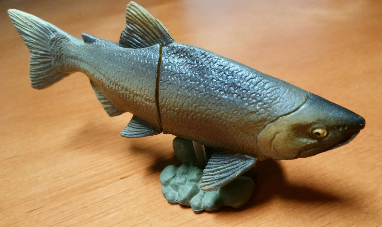 生物フィギュア099 クニマス しんくんパパの行け行け ホビーライフv2