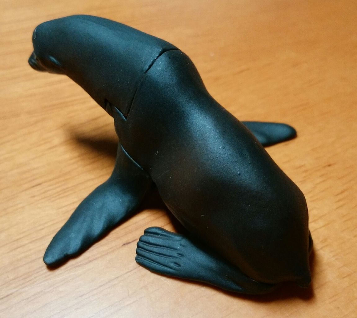 チョコQ 気安い 日本の動物6 ニホンアシカ
