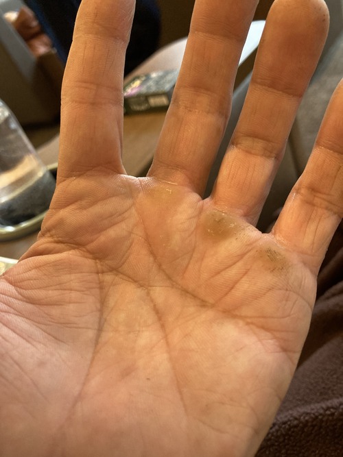 ファティマの目２ 俵紋 親バカ日誌３