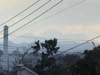 64b98225