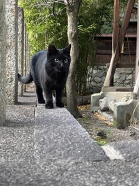 IMG_8856