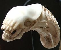 img_1194386_33239031_0