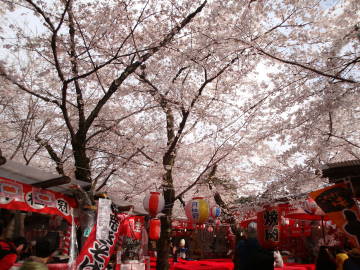 平野神社の境内の様子