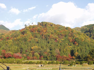 修学院離宮裏山