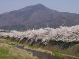 松ヶ崎から望む比叡山