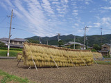 はぜ掛け