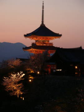 ライトアップの清水寺の塔