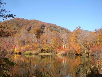 鎌池紅葉2