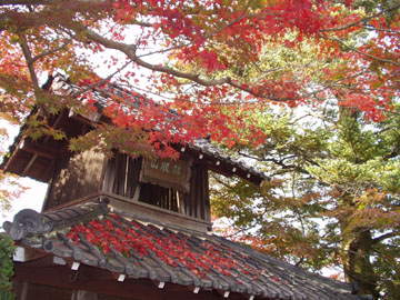 解脱山の紅葉