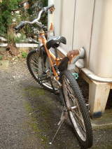 不要自転車