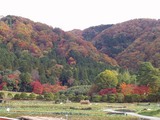 shugakuinrikyu