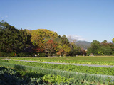 嵯峨野
