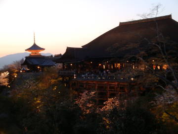 清水寺の舞台と塔