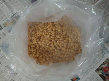大豆を潰す前