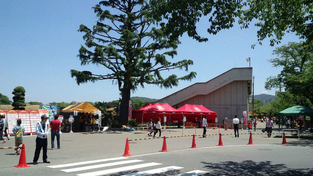 みちのく、行ったり来たり