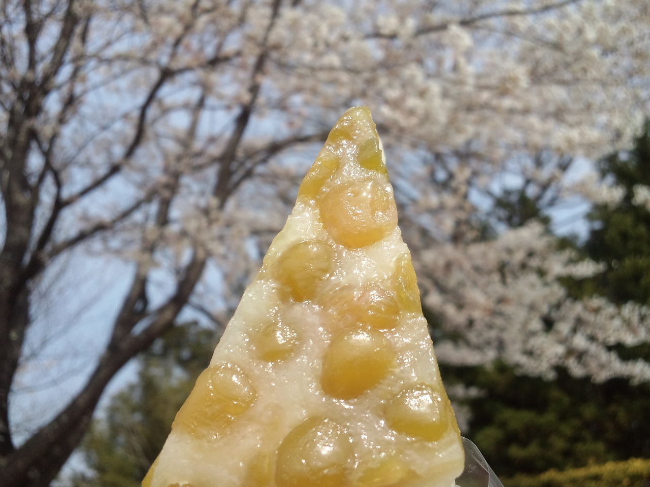甘味 加美町宮崎 門真菓子店 のちゃぼくさ うぐいす豆がんづき どら焼き みちのく 行ったり来たり