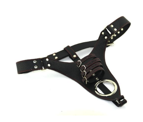 c71f925c51203489cfdc9d8289c7bf29