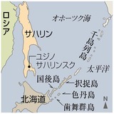 img_581657_8686015_0