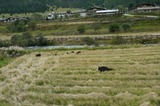 ５