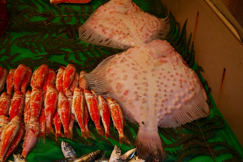 トルコ 黒海の魚 明日香翔の怪食紀行 トルコ 黒海の魚 明日香翔の怪食紀行