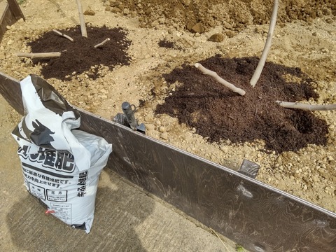 DIAGONAL_0001_BURST20260318105944380_COVER