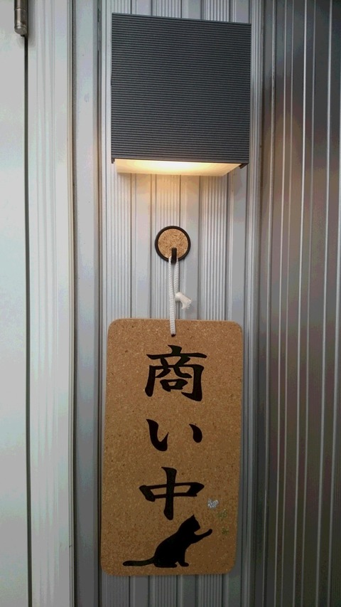 DSC_2058 - ¥³¥Ô¡¼