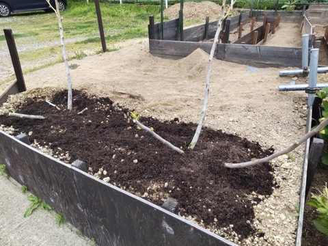 DSC_0507