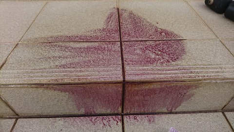 DSC_2239_1