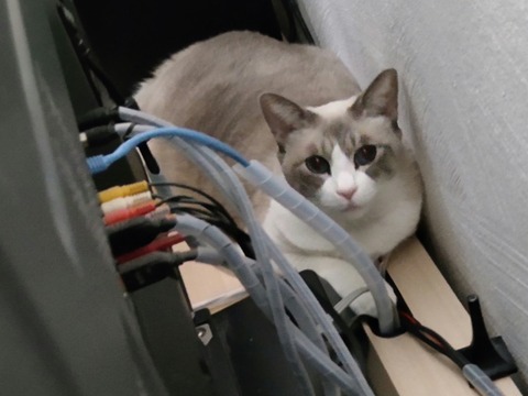 CENTER_0002_BURST20220919121405424