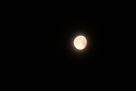 IMG_2147