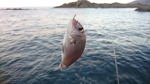 DSC_5988.jpg1