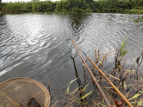 DIAGONAL_0001_BURST20250727141332370_COVER