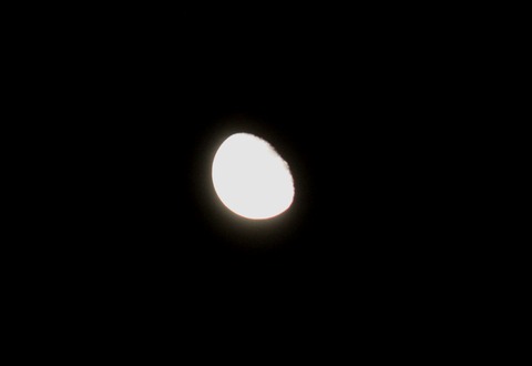 IMG_2510 - ¥³¥Ô¡¼