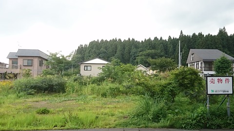 DSC_7406