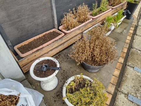 DIAGONAL_0001_BURST20251124095958610_COVER