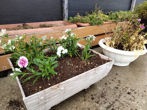 DIAGONAL_0001_BURST20220919154700759_COVER