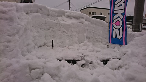 DSC_1914