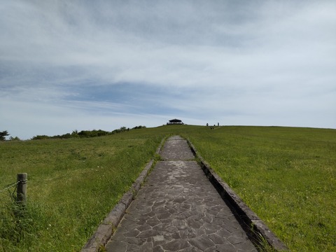 DSC_0020