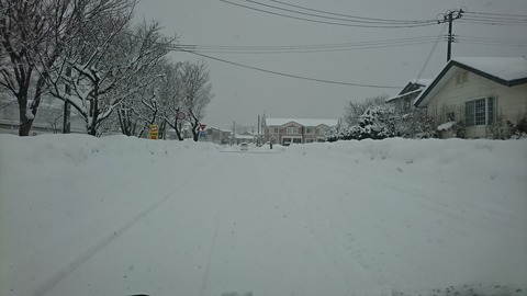 DSC_1812