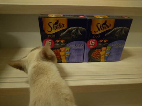 CENTER_0001_BURST20251119182012376_COVER