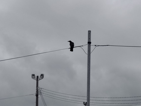 DSC_6054